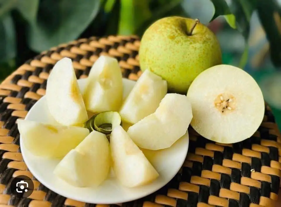 Hình ảnh Khay Lê Lý