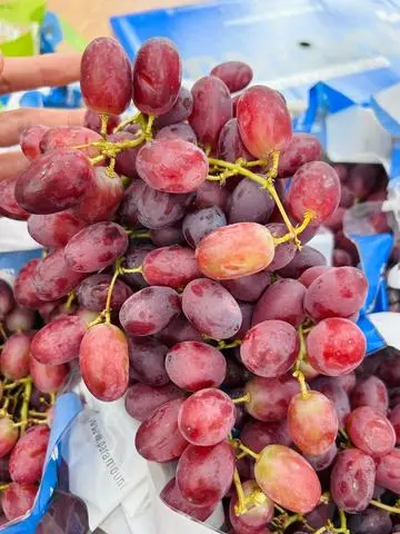 Hình ảnh Nho Đỏ Úc Không Hạt (Hộp 500g)