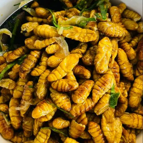 Hình ảnh Nhộng tằm lá chanh 