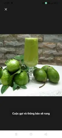 Hình ảnh nước ép cóc ổi 