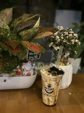 Hình ảnh Sữa tươi trân châu đường đen