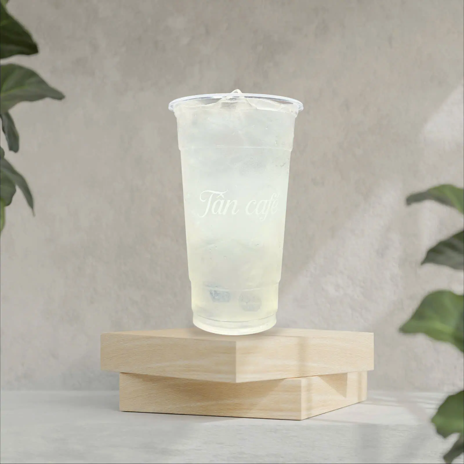 Hình ảnh DC- Đá Chanh (Size L)
