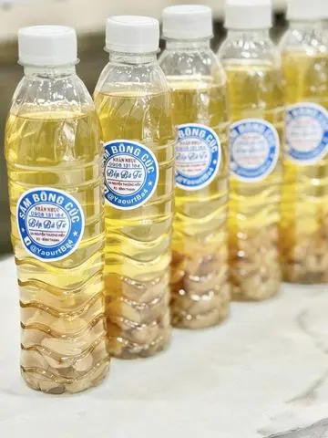 Hình ảnh Sâm Bông Cúc Nhãn Nhục