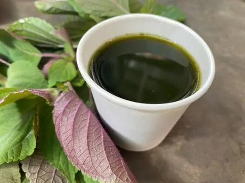 Hình ảnh Nước ép Tía Tô