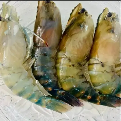 Hình ảnh TÔM THÊM 