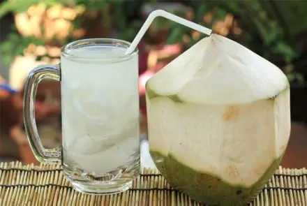 Hình ảnh Dừa Đá Đường 