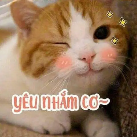 Hình ảnh THỜI TIẾT XẤU, KHÔNG CÓ SHIPPER XIN GỌI QUÁN ĐỂ QUÁN HỖ TRỢ HẾT MÌNH