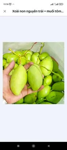 Hình ảnh Xoài non nguyên trái 1kg+muối tôm