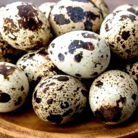 Hình ảnh Trứng cút