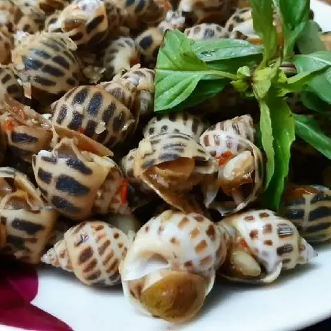 Hình ảnh ỐC HƯƠNG LUỘC XẢ