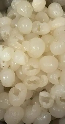 Hình ảnh Nhãn Trái