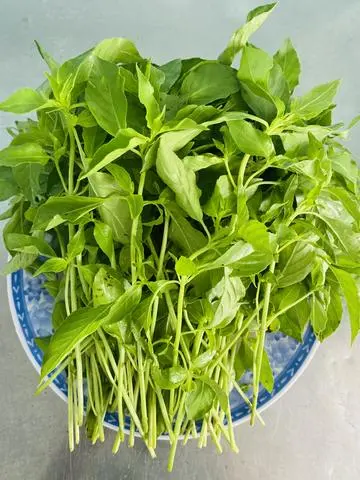 Hình ảnh Lá É Thêm 