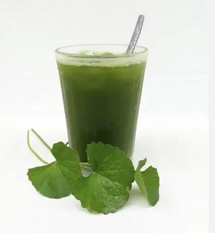 Hình ảnh Rau má