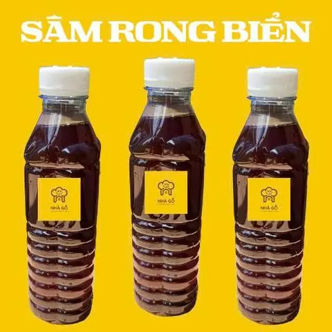 Hình ảnh Sâm Rong Biển