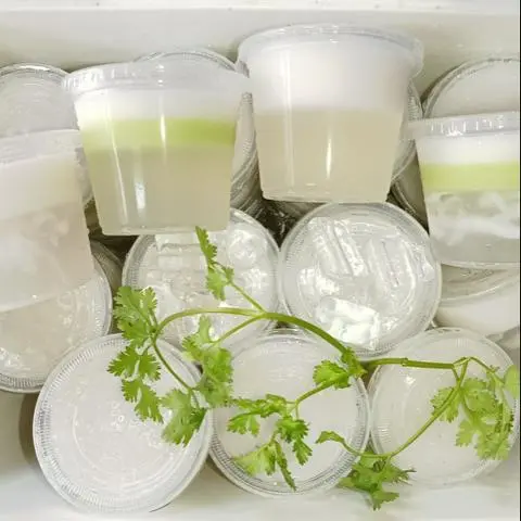 Hình ảnh Combo 10ly Rau câu Nước Dừa Tươi nguyên chất 