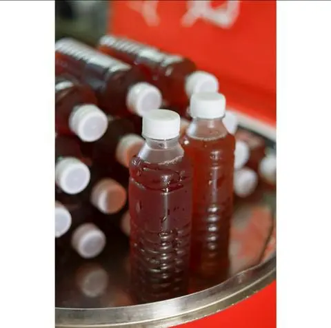 Hình ảnh Sâm lạnh (nhà nấu)
