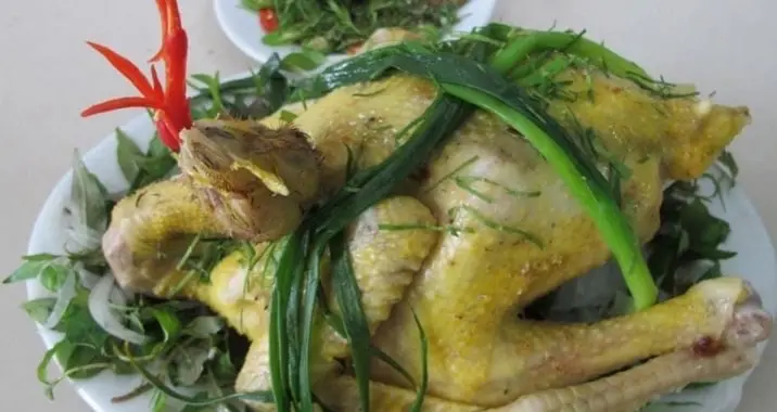 Hình ảnh Gà ta hấp hành 