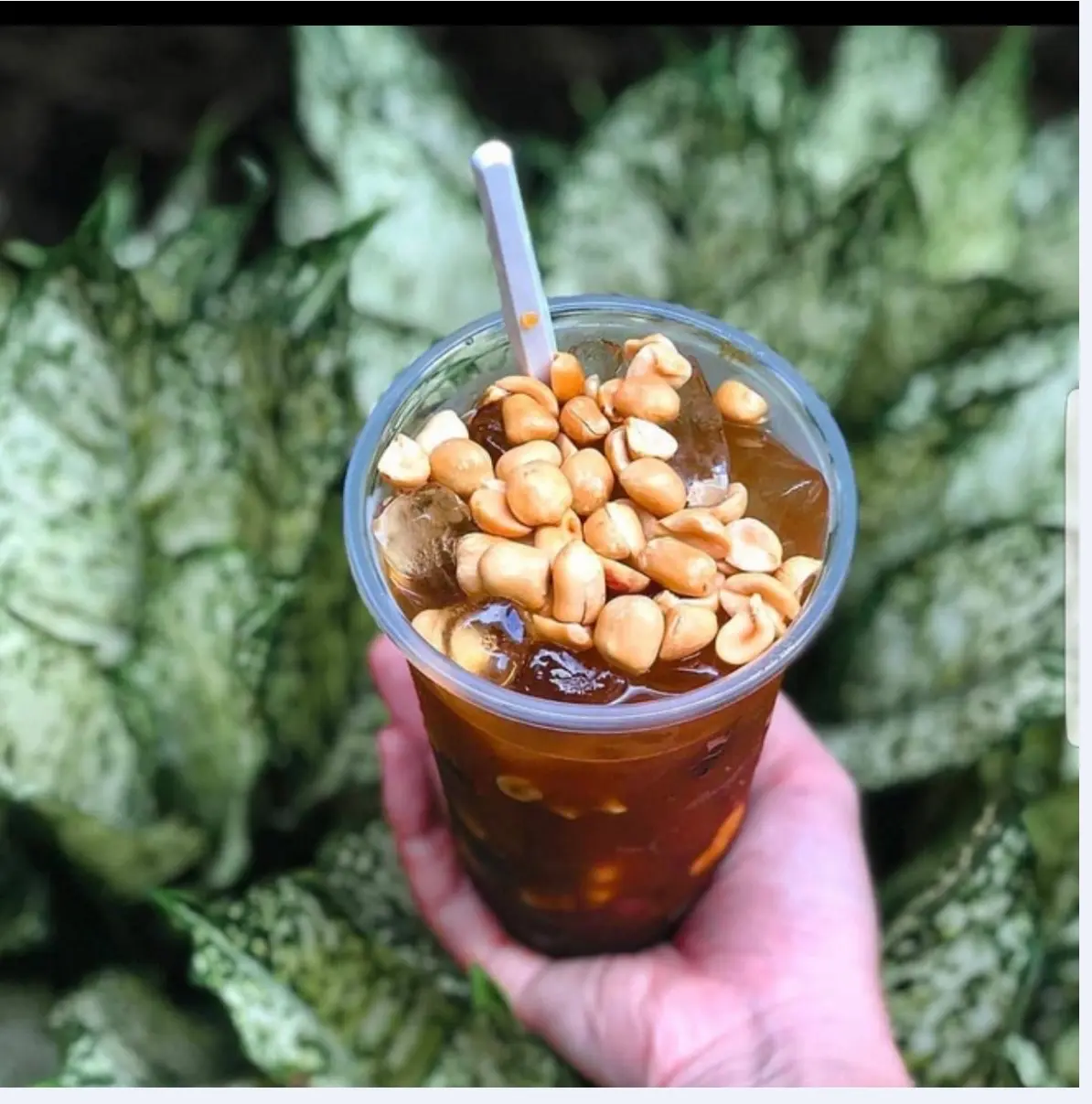 Hình ảnh Đá me