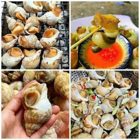 Hình ảnh ốc bu lót hấp sả một con