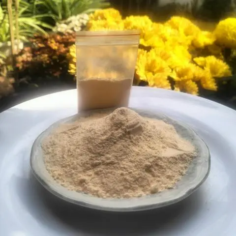 Hình ảnh Bột phô mai (10g)