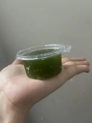 Hình ảnh Trân Châu Olong 