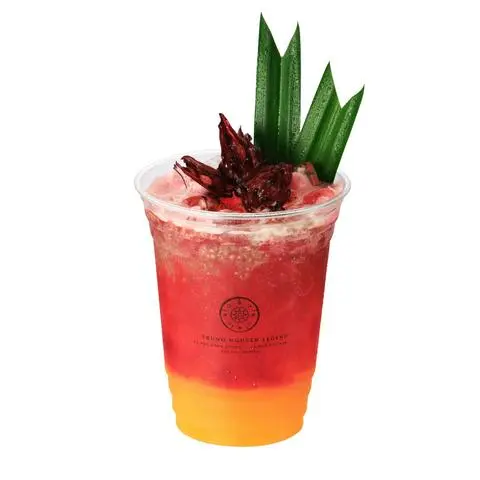 Hình ảnh Hibiscus Chanh Dây Hạt Chia