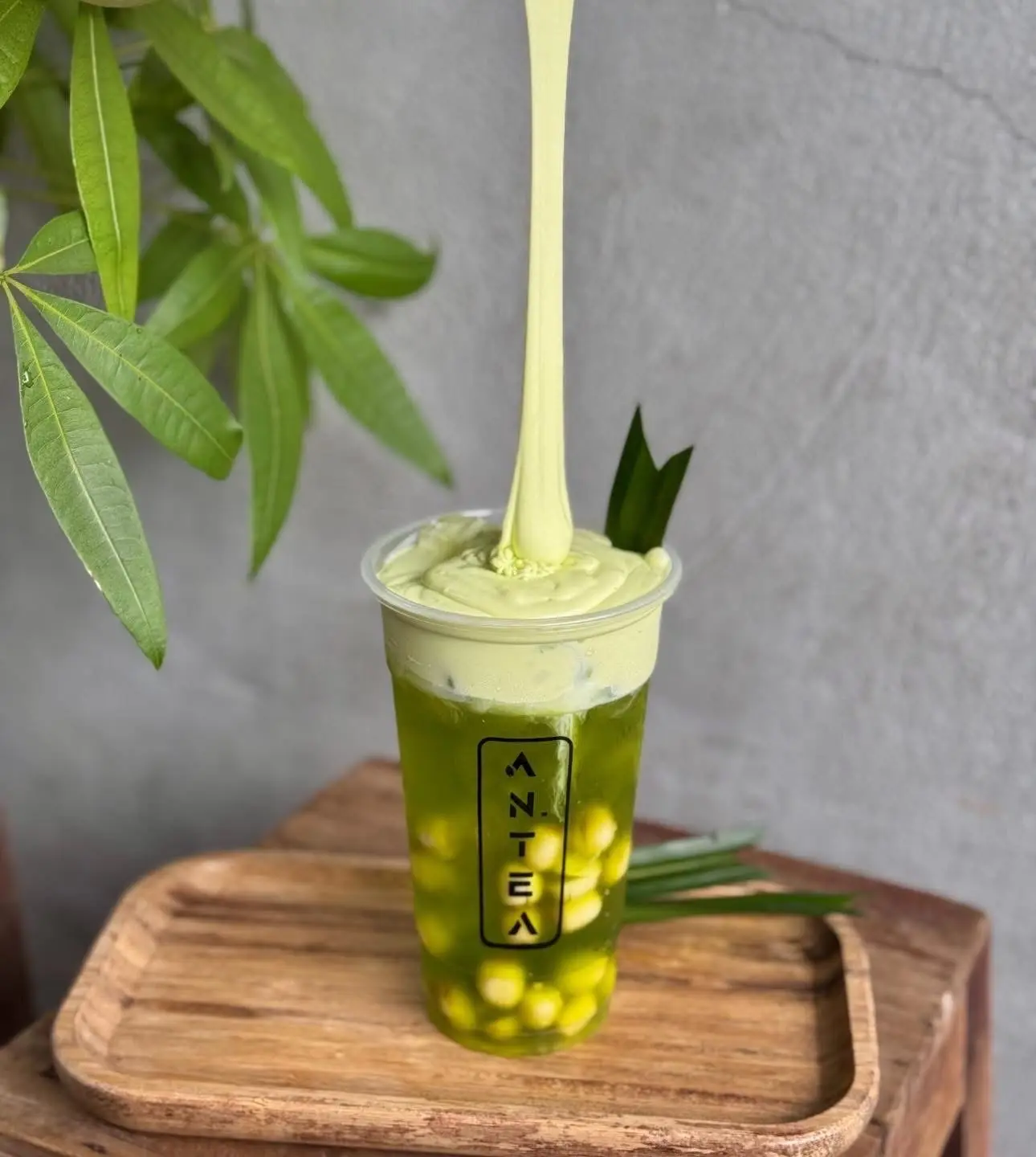 Hình ảnh Trà Sen Lá Nếp
