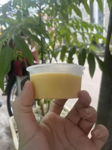 Hình ảnh plan phô mai 