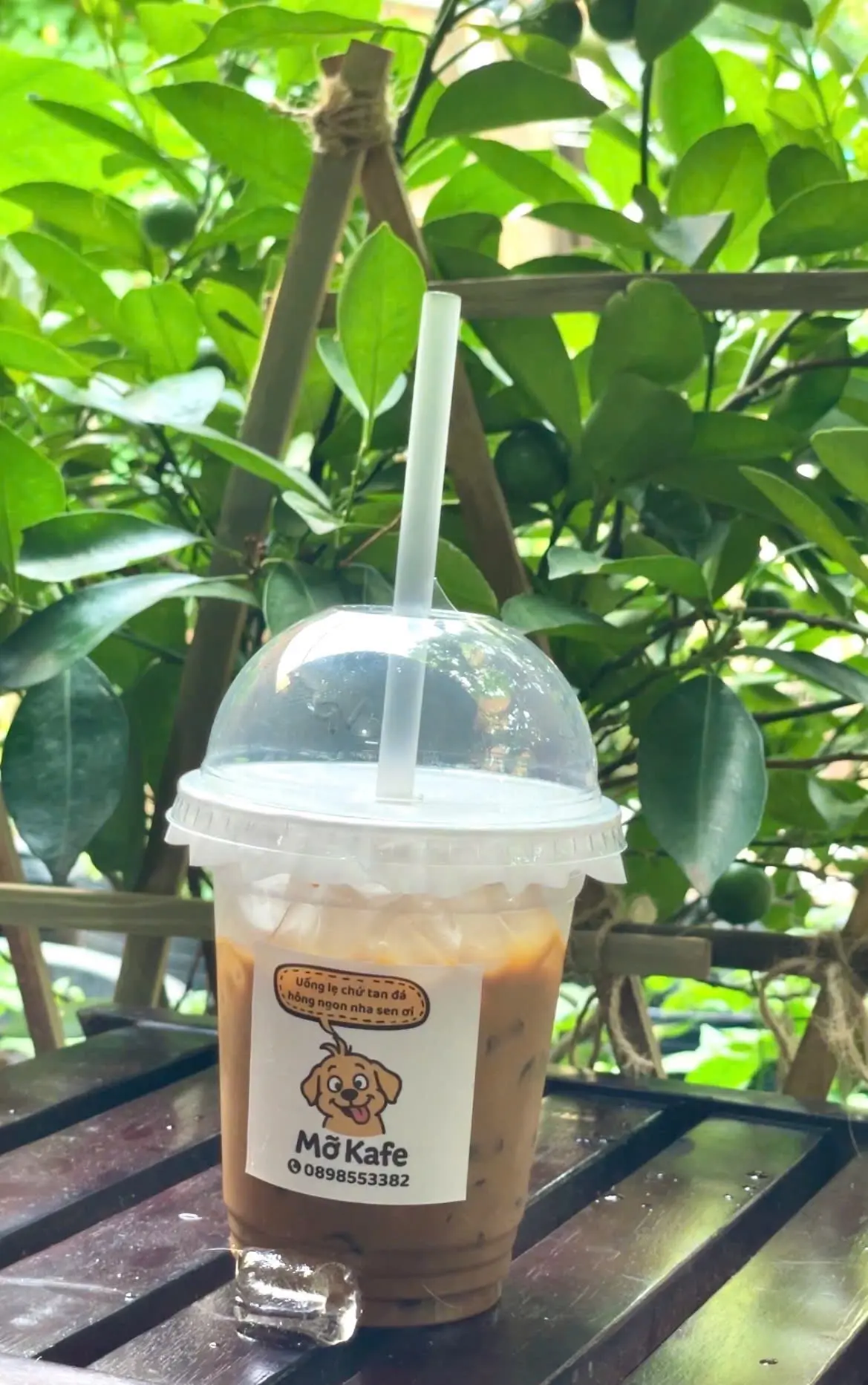 Hình ảnh Cà phê sữa Size M
