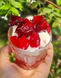 Hình ảnh DỪA ATISO ĐỎ (HIBICUS)