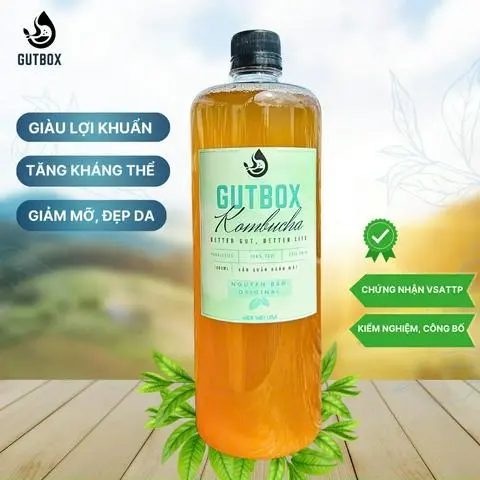 Hình ảnh 1 LÍT KOMBUCHA NGUYÊN BẢN