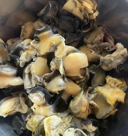 Hình ảnh Ốc