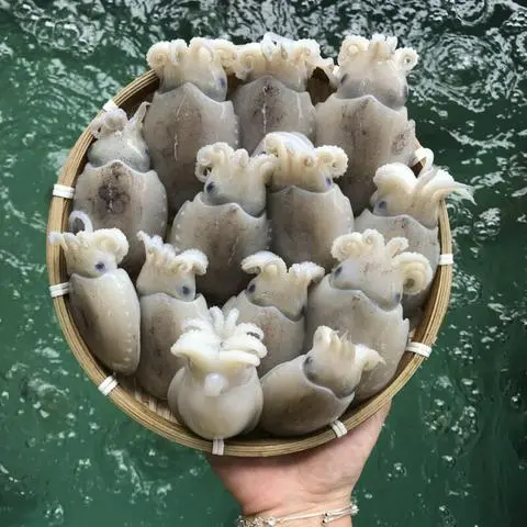 Hình ảnh mực bâù làm sạch (phần lớn)
