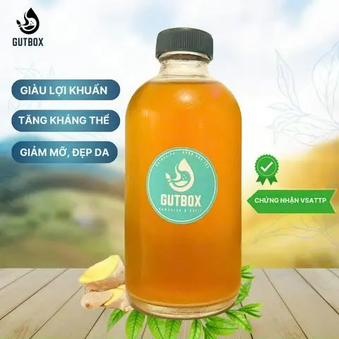 Hình ảnh Water Kefir gừng