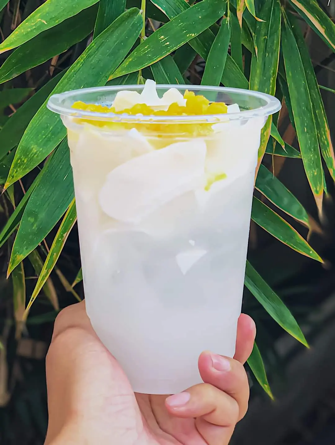 Hình ảnh Nước dừa đác thơm
