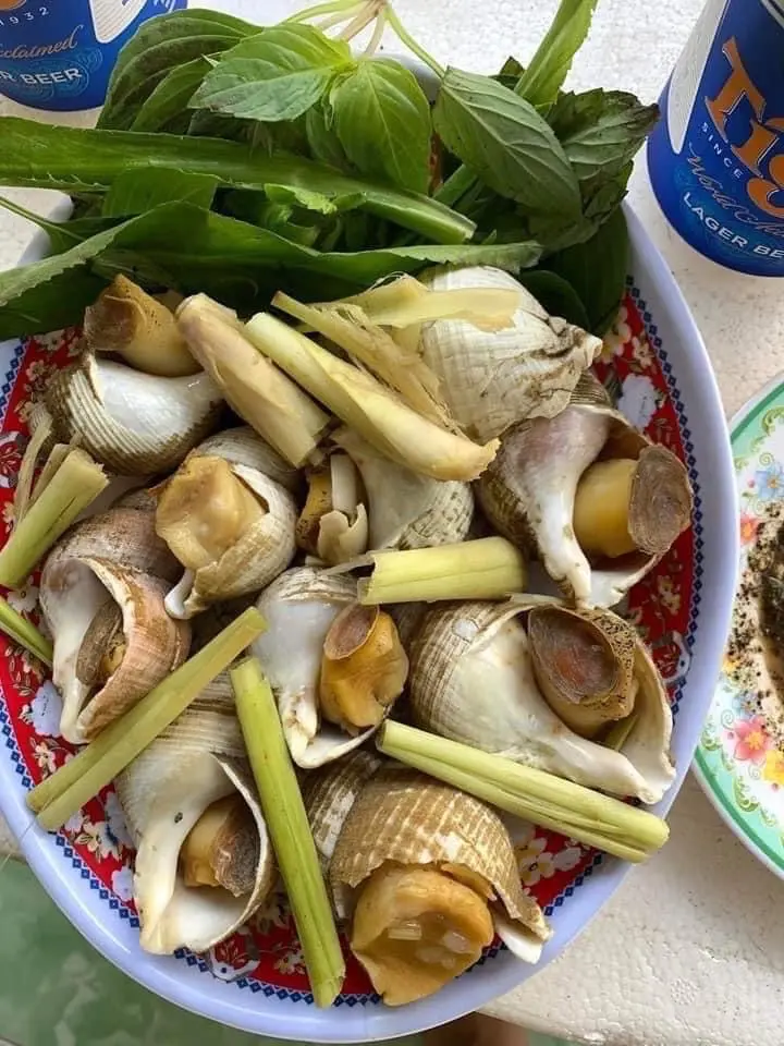 Hình ảnh Ốc bulot hấp sả