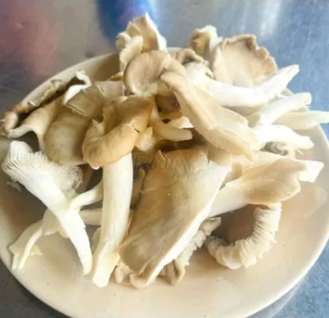 Hình ảnh Nấm thêm ( 1 phần)