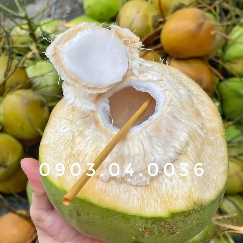 Hình ảnh Dừa ốp trái lạnh