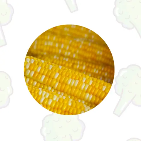 Hình ảnh Bắp Mỹ