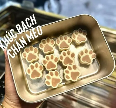 Hình ảnh Khúc Bạch Chân Mèo - Có Nhân