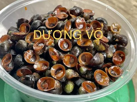 Hình ảnh Ốc Dừa Kế Cồ Xào Bơ 