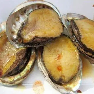 Hình ảnh Bào Ngư Lớn 