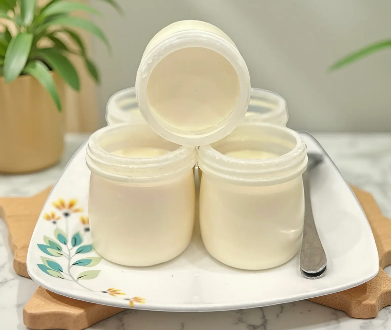 Hình ảnh Yaourt Mộc (Sữa Chua Mộc)