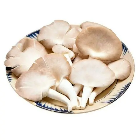 Hình ảnh Nấm bào ngư thêm
