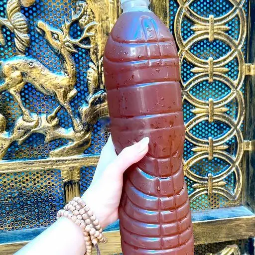 Hình ảnh Hồng Trà Tắc BIGSIZE
