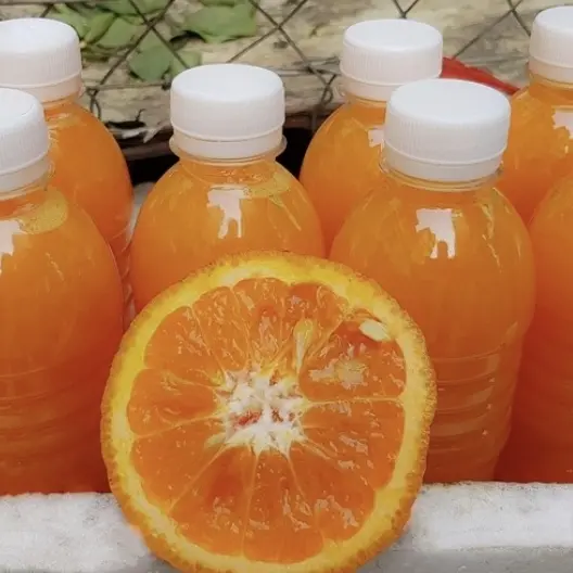 Hình ảnh Cam ép 250ml