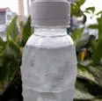 Hình ảnh Mủ chôm