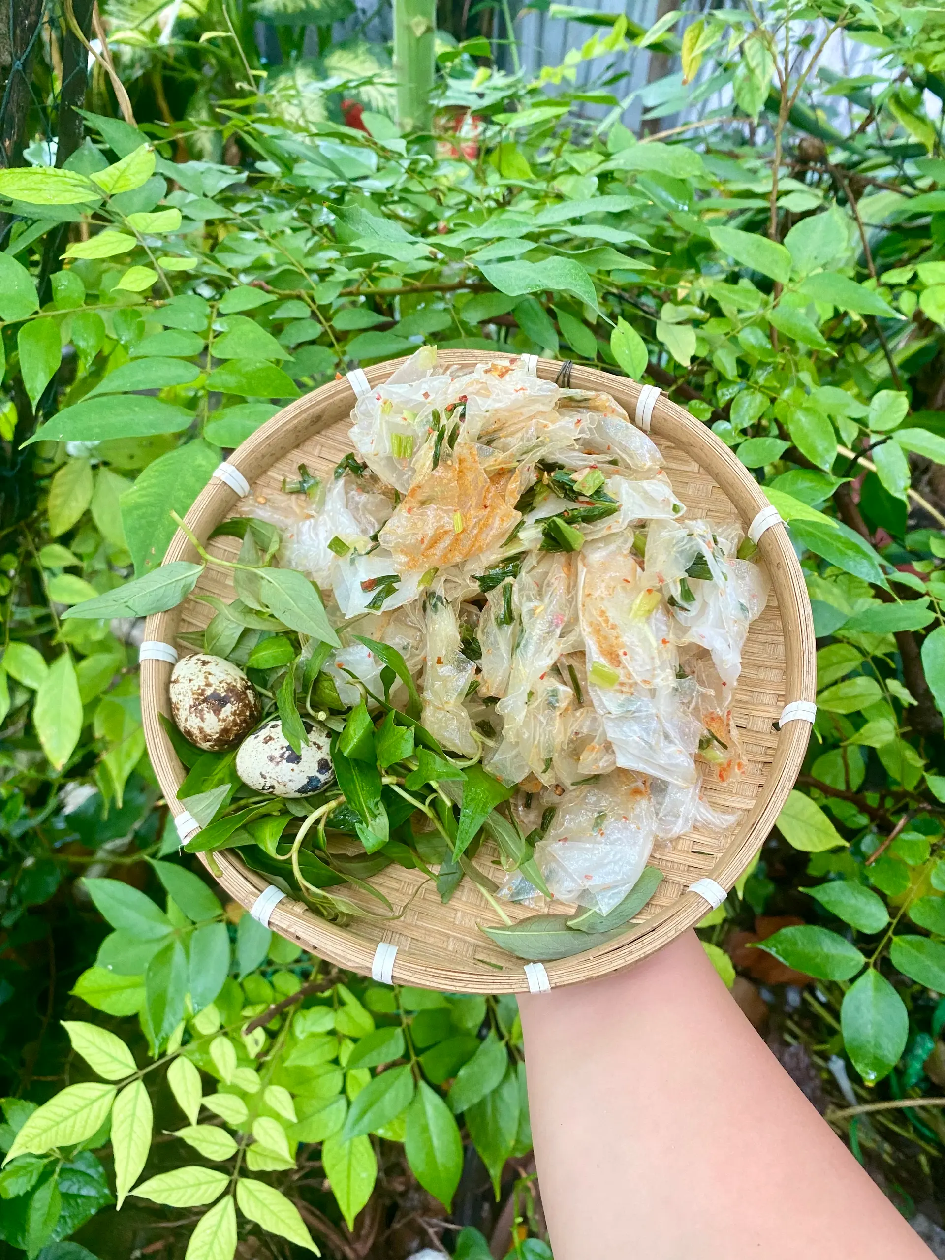 Hình ảnh Bánh Tráng Trộn - Mỡ Hành Muối 