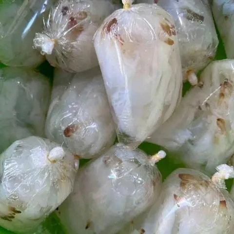 Hình ảnh Sứa chân siêu giòn ăn liền (bịch 500g)