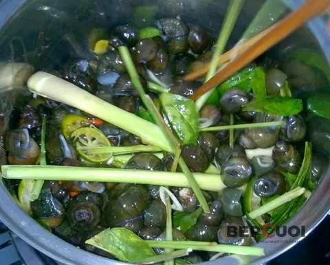 Hình ảnh ốc đắng hấp xả 